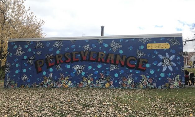 New mural in North Central Troy incorporates community and brings light to the neighborhood